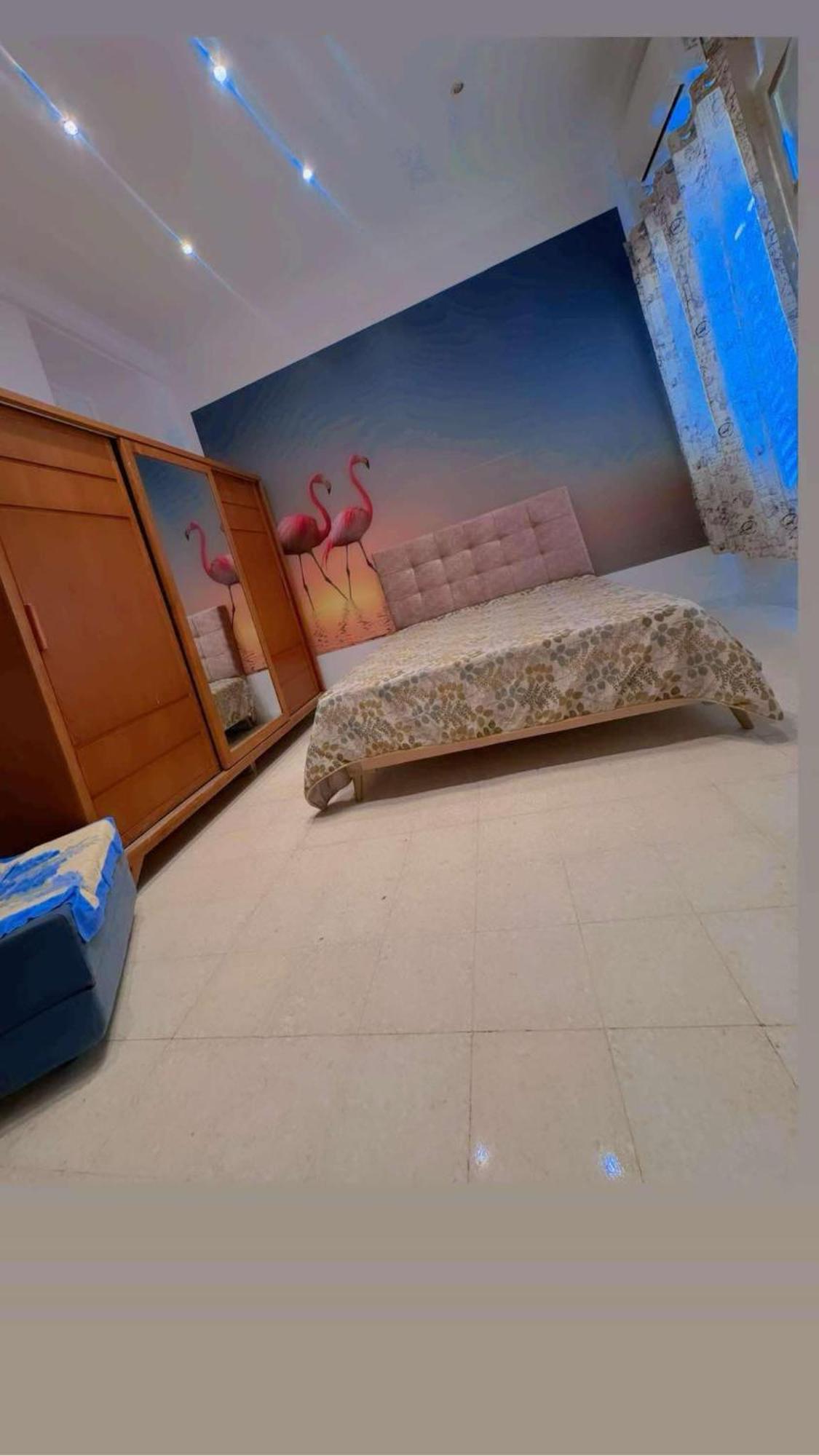 Apartment Dar Eline